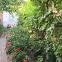 Горящие туры в отель Apartment Lenina 88 - 5