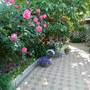Горящие туры в отель Holiday home Na Rostovskoy - 3
