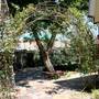 Горящие туры в отель Guest House Tatiana - 6