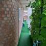 Горящие туры в отель Gogolya Guest House - 2