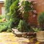 Горящие туры в отель Guest House on Nizhnesadovaya - 3