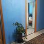 Горящие туры в отель Guest House Flint - 4