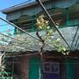 Горящие туры в отель Guest House Romanenko - 4