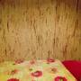 Горящие туры в отель Apartments na Nekrasova - 2