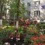 Горящие туры в отель Fireplace Apartment - 3