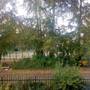 Горящие туры в отель Mini-Hotel Brusnika - 3