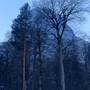 Горящие туры в отель Apartment na Vladikavkazskoy - 4
