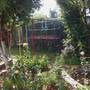 Горящие туры в отель Yucca Guest House - 6