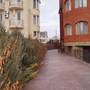 Горящие туры в отель Guest House Troya - 5