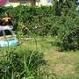 Горящие туры в отель Rodnik Guest house - 5