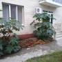 Горящие туры в отель Guest house Pontiyskaya 16 - 5