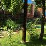 Горящие туры в отель Guesthouse Novosolov - 2
