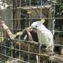 Горящие туры в отель Asita Guest House - 4
