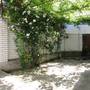 Горящие туры в отель Asita Guest House - 6
