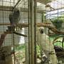 Горящие туры в отель Asita Guest House - 3