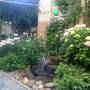 Горящие туры в отель Guesthouse Viola - 4