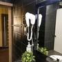 Горящие туры в отель Hostel Green City - 2