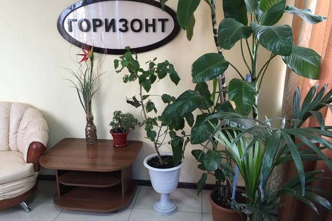 Отель Горизонт