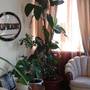 Горящие туры в отель Hotel Gorizont - 4
