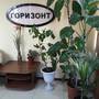 Горящие туры в отель Hotel Gorizont - 1