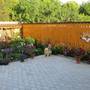 Горящие туры в отель Guest House Valentain - 5