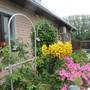 Горящие туры в отель Guest House Valentain - 2