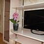Горящие туры в отель Apartamenty Lenina 5 - 1