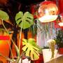 Горящие туры в отель Lenin Apartment - 2