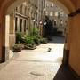 Горящие туры в отель Boho Life Nevsky - 6