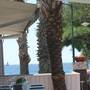 Горящие туры в отель Şayli Otel - 3