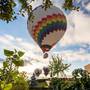 Горящие туры в отель Ariana Sustainable Luxury Lodge - 6