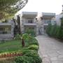 Горящие туры в отель Pine Beach Boutique Hotel - 1