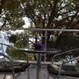 Горящие туры в отель Pine Beach Boutique Hotel - 5