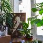 Горящие туры в отель Offenbacher Hotel - 3
