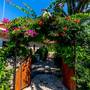 Горящие туры в отель Palmetto Resort Hotel Selimiye - 4