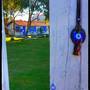 Горящие туры в отель Mavi Zeytin Butik Otel - 5