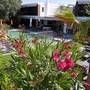 Горящие туры в отель Yahsi's Yahsi Resort Aparts - 2