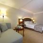 Горящие туры в отель Ramada Plaza Malatya Altin Kayisi Hotel - 6