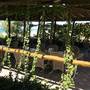 Горящие туры в отель As Queen Beach Hotel - 6