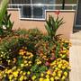 Горящие туры в отель Esmeralda Apart Butik Otel - 4