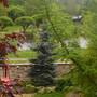 Горящие туры в отель U Klena Holiday Home - 2