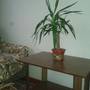 Горящие туры в отель Apartments on Rozy Luxemburg - 4