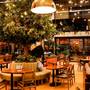 Горящие туры в отель Holiday Inn Kayseri - Duvenonu - 2