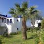 Горящие туры в отель My House Bodrum Holiday Village - 1