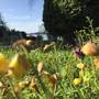 Горящие туры в отель My House Bodrum Holiday Village - 6