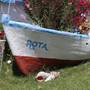 Горящие туры в отель Rota Butik Hotel - 4