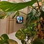 Горящие туры в отель La Flora House Hotel - 6