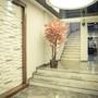 Горящие туры в отель Yayla Hotel - 2