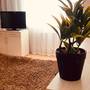 Горящие туры в отель Aleks Apartment - 5