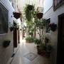 Горящие туры в отель Yesilkoy Airport Hotel - 6